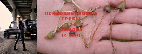 прущий лед Абинск