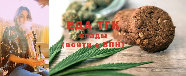 шишки Надым